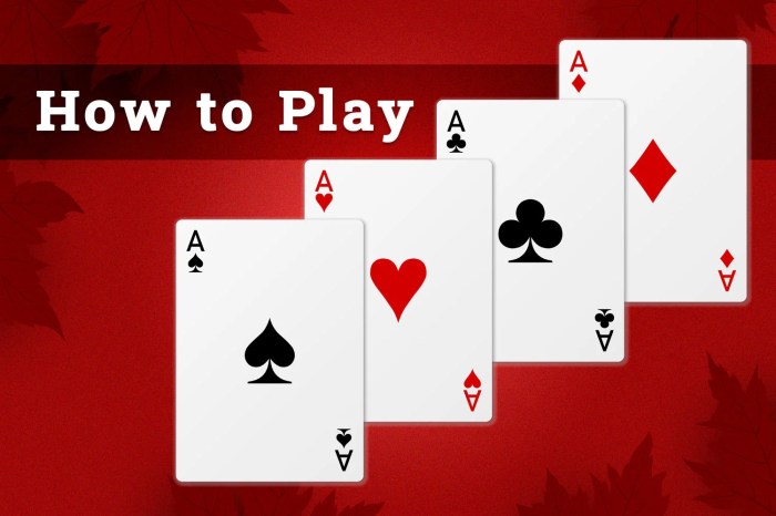 How to play Rummy card game with 2 players